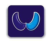 WiceCom Logo